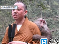 延参法师经典语录