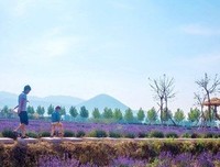 你知道莒县怎么念吗？｜小地方