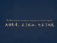 关于精美的唯美语录