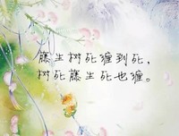 最全的《曾许诺》名句欣赏大全