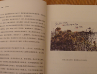 思亲——《姥姥语录》