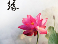 最新的A-Lin15句经典名言