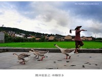 1944：腾冲之围读后感10篇