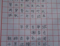 《她和她的猫》读后感10篇