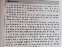 关于连岳的名言