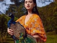 网红和明星之间，差的不仅仅是脸