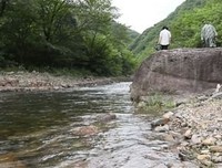 不要乱喝蜂蜜了，长期喝蜂蜜后身体变成这个样子，后悔
