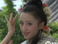  姐妹 共侍一夫