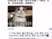 别什么都晒到朋友圈！！哈哈哈哈哈哈哈笑出猪叫……