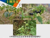 紫微测字：测测下半年会有什么好运等着你