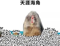 当初装B出去浪，结果怂成这熊样！