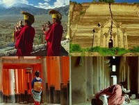 《无境之兽》好看吗？经典影评10篇