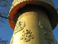 逃离香格里拉的读后感10篇