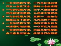 佛言慧语