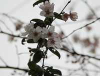 项丽敏的句子