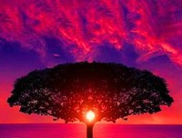 最经典的《半暖时光》名句欣赏大全
