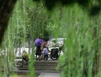 每个中年女人都是伟大的