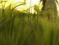 男人生命中最珍贵的7个女人