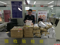 《非法入境》观后感10篇