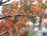 《易经》智慧：随和的人，到哪里都有福气！