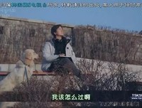 成年人恋爱为什么这么难？