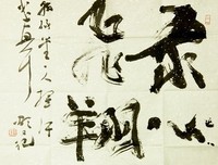 寄情樟木，从心出发