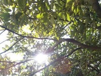 感情再好，也需要保持距离