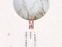 APP营销解密读后感10篇