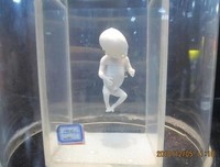 《学校里学不到的东西》观后感10篇