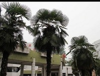 《倾听你心》的观后感10篇
