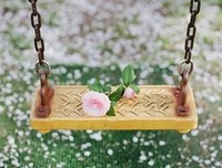 《孤独的梦中人》读后感10篇