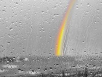 雨中之情
