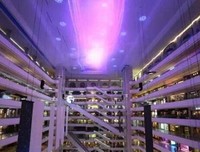你的世界，星光如初读后感精选10篇
