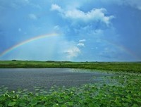 暴风雨后终将彩虹