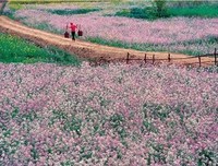 《做饭》读后感10篇