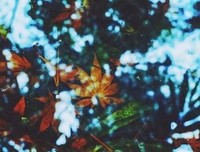 请珍惜那个随时为你有空的人
