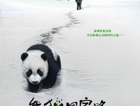 《熊猫回家路》观后感10篇