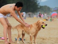 《爱与狗同行》的观后感10篇
