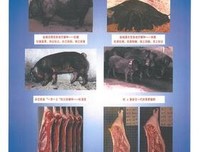 想吃一口猪肉以外的肉
