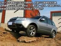 《林中漫步》的观后感10篇