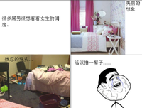 理想和现实