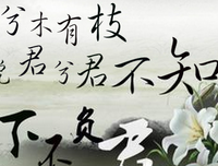 夜↘开以见经典的句子