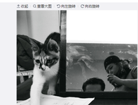 寂寞的消遣