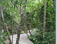 大暑丨浮生已与朝露同，君行何复苦匆匆