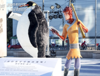平凡之中的美好