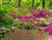 艳艳的名句_关于艳艳的名句