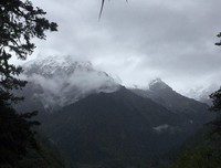 苦行记读后感10篇