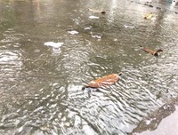 经历过风雨才有彩虹