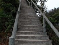 为你打开一扇窗