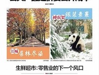 《第三个人》经典影评10篇
